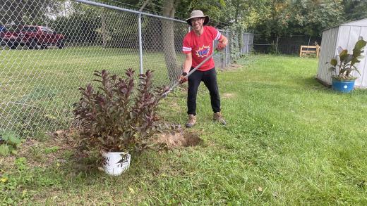 person with a hat planting a bush