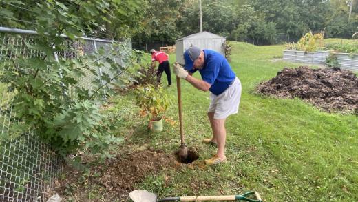 gentleman digging a hole for a plant