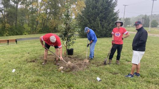 two people digging a hole while two people watch