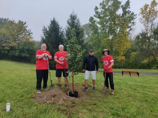 four men planting a tree