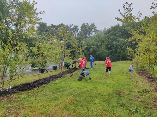 Group of people landscaping/doing yard work