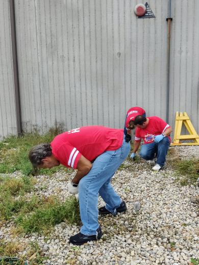 people pulling weeds in stone bed