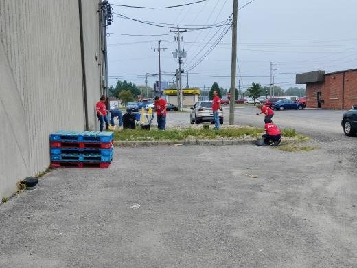 group of people in red shirts pulling weeds from rock bed