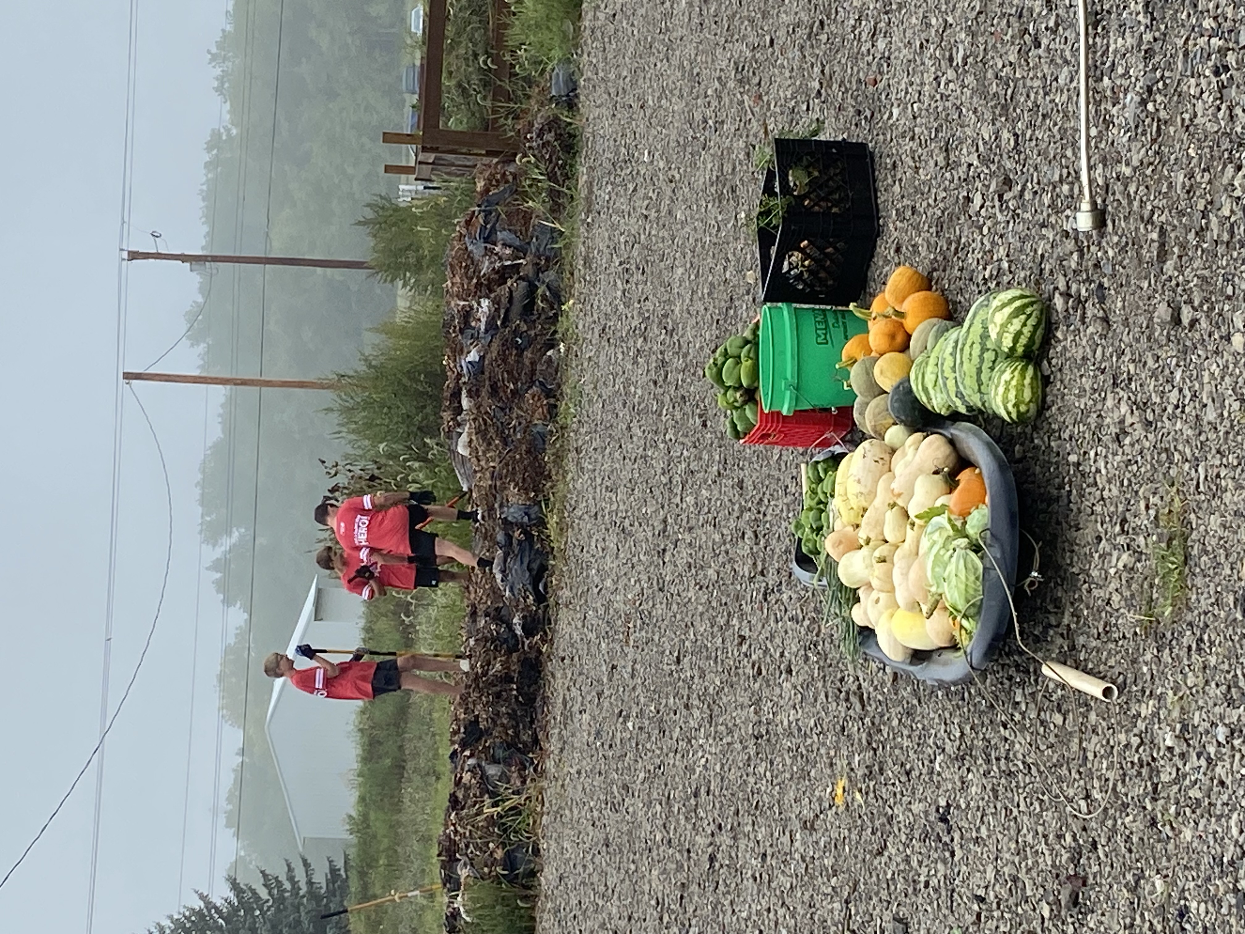 kids working in compost pile