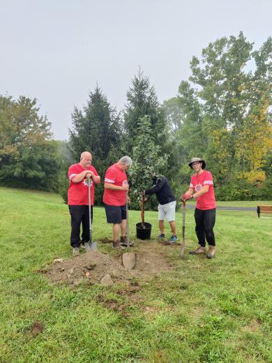 four men planting a tree
